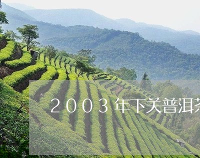 2003年下关普洱茶/2023072311616