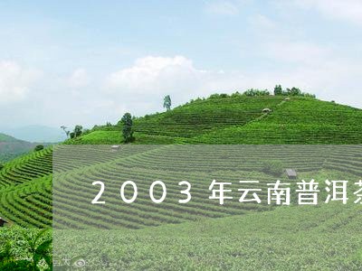 2003年云南普洱茶价格多少/2023052900594