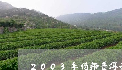 2003年倚邦普洱茶生茶/2023112969383