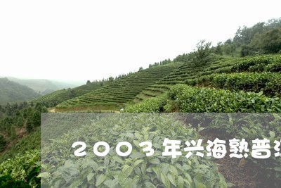 2003年兴海熟普洱/2023092506379