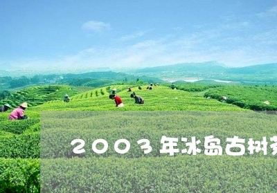 2003年冰岛古树茶价格/2023051211703