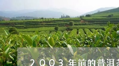 2003年前的普洱茶/2023092967171