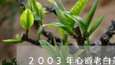 2003年心道老白茶/2023092701692