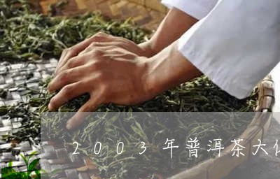 2003年普洱茶大像/2023080293626