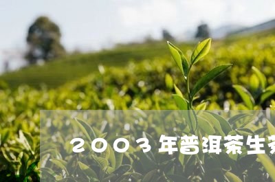 2003年普洱茶生茶推荐/2023102596059