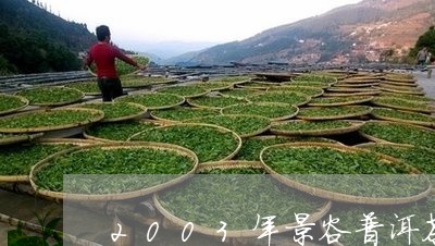 2003年景谷普洱茶/2023120634928