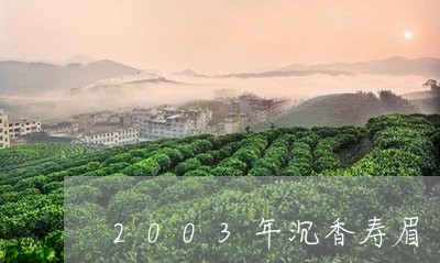 2003年沉香寿眉/2023091427391