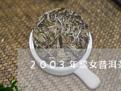 2003年濮女普洱茶/2023100566057