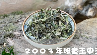 2003年班章王中王/2023092285836