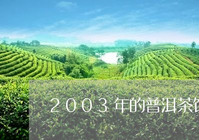 2003年的普洱茶饼/2023100694826