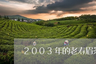 2003年的老寿眉茶饼/2023092474058