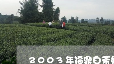 2003年福鼎白茶好不好卖/2023062896049