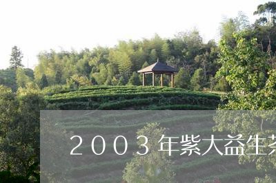 2003年紫大益生茶/2023092159494