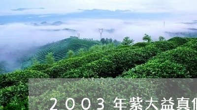 2003年紫大益真假/2023071699473