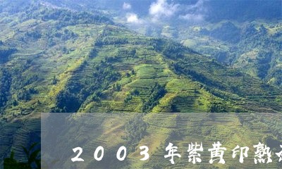 2003年紫黄印熟茶/2023061028590