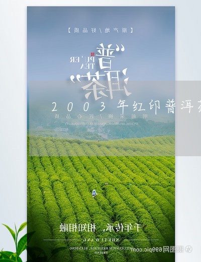 2003年红印普洱茶/2023062907261