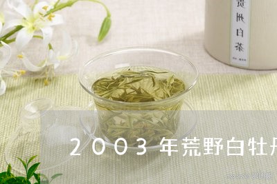 2003年荒野白牡丹/2023092114847