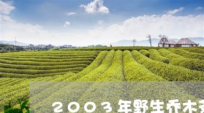 2003年野生乔木茶/2023071638493