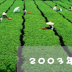 2003年高级普洱茶/2023112712714