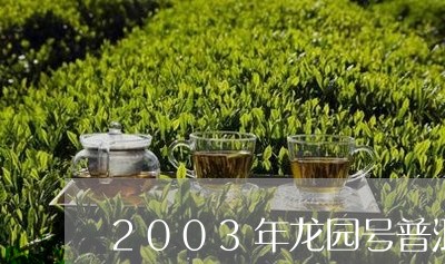 2003年龙园号普洱茶03落水洞/2023060351715