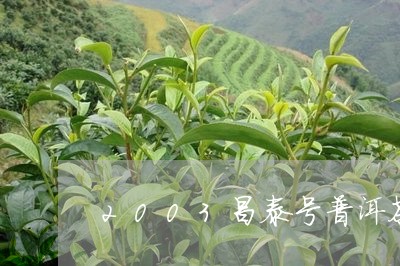 2003昌泰号普洱茶/2023100703069