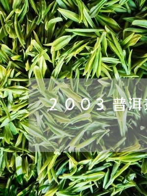 2003普洱茶大饼/2023091460592