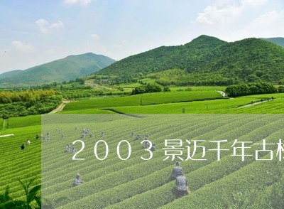 2003景迈千年古树茶何仕华/2023053194047