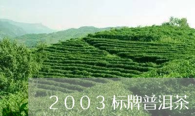 2003标牌普洱茶/2023091451614