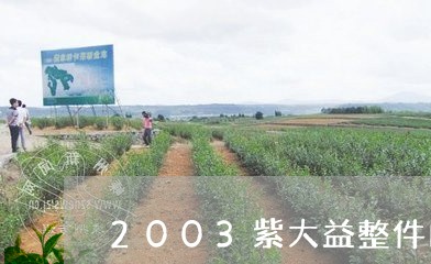 2003紫大益整件的包装/2023051200462