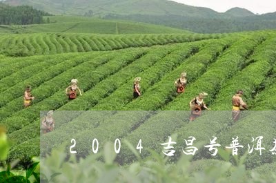 2004吉昌号普洱茶/2023080242728