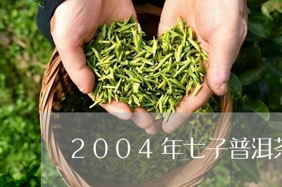 2004年七子普洱茶/2023062590825