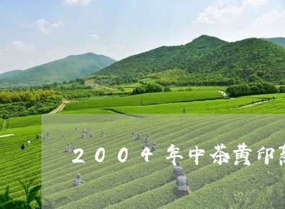 2004年中茶黄印熟茶价格/2023052703936