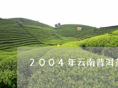 2004年云南普洱茶口感/2023081594048