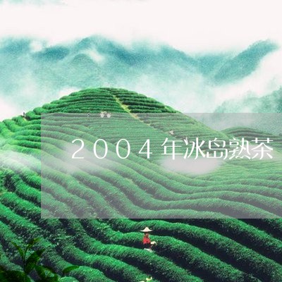 2004年冰岛熟茶/2023042629273