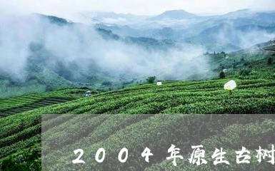 2004年原生古树茶普洱茶生茶/2023110438491