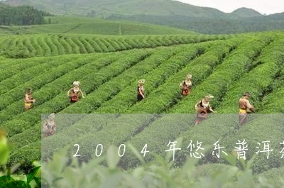 2004年悠乐普洱茶/2023062525240