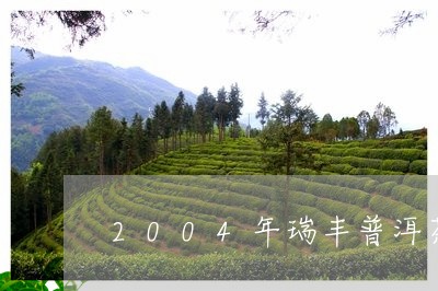 2004年瑞丰普洱茶/2023080358371