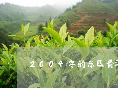 2004年的东巴普洱多少钱/2023052715969