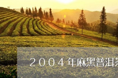 2004年麻黑普洱茶/2023120613706