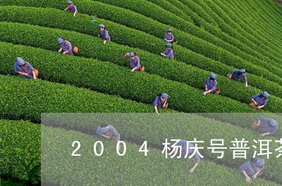 2004杨庆号普洱茶/2023062474148