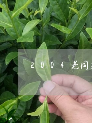 2004老同志普洱茶/2023100813605