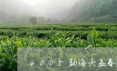 2005勐海大益春尖沱茶/2023051219372