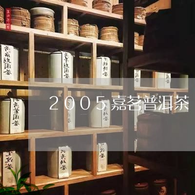 2005嘉茗普洱茶/2023070801704