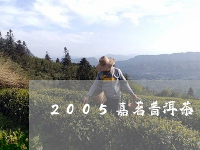 2005嘉茗普洱茶/2023091489693