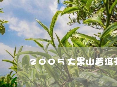 2005大黑山普洱茶/2023100774169