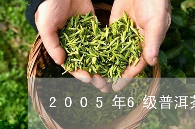 2005年6级普洱茶/2023080125970