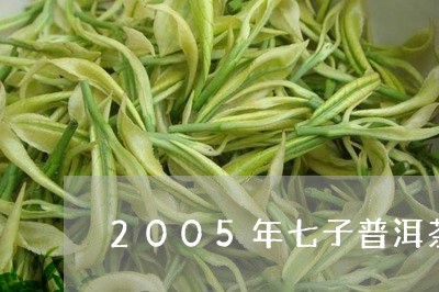 2005年七子普洱茶/2023062574041