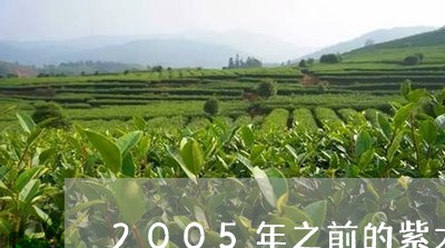 2005年之前的紫大益有哪些/2023053117362