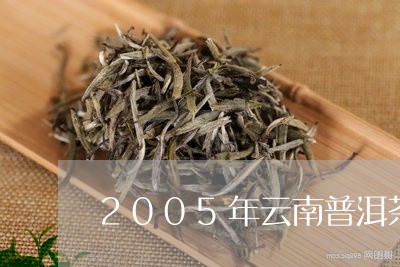 2005年云南普洱茶组合饼/2023052798371