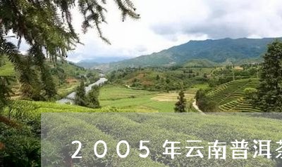 2005年云南普洱茶老茶头/2023082869384